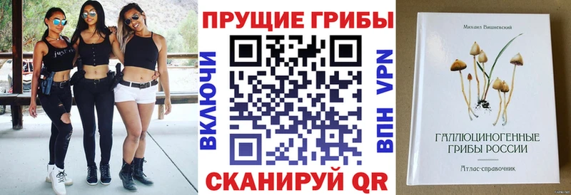 что такое наркотик  Сатка  Галлюциногенные грибы ЛСД 