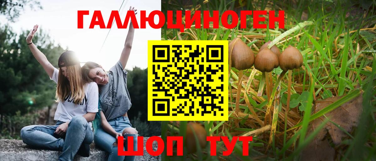 Галлюциногенные грибы Psilocybe  Псилоцибиновые грибы прущие грибы  Вход с VPN  Сатка 